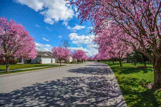 Brisbane property valuation